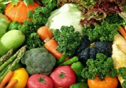 زراعة 229809 فدان محاصيل شتوية بالمنوفية