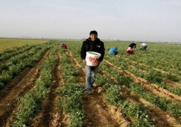 سامح صقر يؤكد أن كفاية المياه الجوفية في الـ 1.5 مليون فدان تحددها المحاصيل