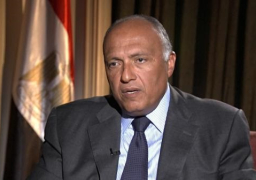 شكرى يختتم زيارته لواشنطن ويتوجه لنيويورك للقاء سكرتير عام الأمم المتحدة