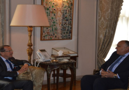 شكري يؤكد دعم مصر الكامل لدور المبعوث الأممي في ليبيا