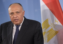 شكري يرحب بقرار وقف إطلاق النار فى سوريا