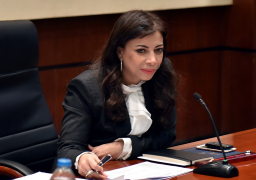 25 ديسمبر..مجلس الوزراء ينهى مناقشات مسودة قانون الاستثمار