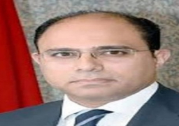 مصر ترحب باتفاق وقف إطلاق النار في سوريا وتدعو الجميع للالتزام به