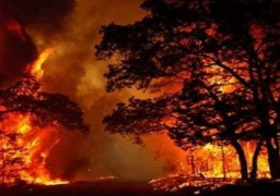 مصرع 7 أشخاص وجرح 53 آخرين في حرائق ولاية تنيسي الأمريكية