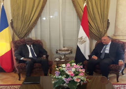 وزير الخارجية يبحث العلاقات الثنائية مع نظيره التشادي