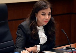 6.8 مليار جنيه استثمارات أجنبية في مصر.. و45 مليارًا رءوس أمول الشركات في 2016