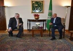 ابوالغيط يدعو ايرلندا إلى مساندة الأولويات العربية