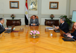 الرئيس السيسي يوجه بسرعة الانتهاء من شبكات توزيع الكهرباء