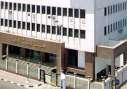 الرقابة الإدارية تضبط مستخلصى جمارك بالإسكندرية لتهريب 322 طن أغذية