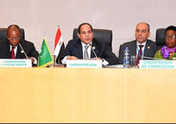 السيسي يؤكد استعداد مصر لاستضافة اجتماعات المبادرة الأفريقية للطاقة المتجددة