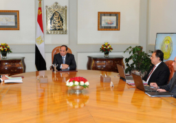 السيسي يوجه بتوفير الأدوية المستوردة بأسعار مناسبة
