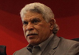 حسن شحاتة مديرا فنيا لبتروجيت