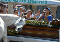 حصان يلقى نظرة وداع على صاحبه خلال تشييع جنازته بالبرازيل