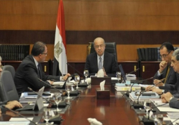 شريف اسماعيل يرأس اجتماعاً لبحث التوسع فى زراعة المحاصيل الاستراتيجية