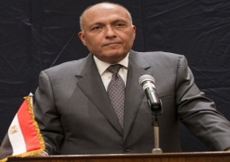 شكرى: لن نتدخل عسكريا بسوريا وعلاقتنا بالسعودية قائمة على الاحترام