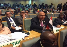 شكرى يرأس وفد مصر في اجتماع قمة آلية مراجعة النظراء