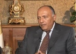 شكري يستعرض القضايا المشتركة والثنائية مع نظيريه الرواندية والتشادى