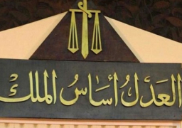 تأجيل محاكمة 21 متهما فى قضية “اللجان النوعية” لـ 19 فبراير