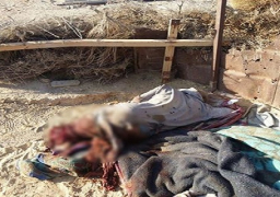 مقتل تكفيرى وتدمير مخزن للعبوات الناسفة شمال سيناء