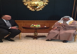 وزير الخارجية ورئيس مجلس الوزراء البحرينى يؤكدان على التضامن الكامل بين البلدين
