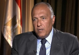 وزير الخارجية يؤكد أن أمن الخليج جزء لا يتجزأ من الأمن القومي المصري