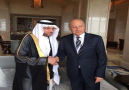 أبو الغيط والعثيمين ينسقان الجهود لإعاقة وصول إسرائيل لمجلس الأمن