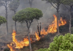 إجلاء مئات السكان من “كرايستشيرش” بنيوزيلندا بسبب الحرائق