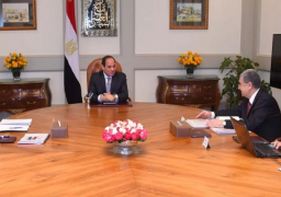 الرئيس السيسى يشدد على ضرورة التطوير المستمر لقطاع الكهرباء