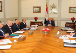 السيسي يوجه باتخاذ كافة الإجراءات لتخفيف الأعباء على محدودي الدخل