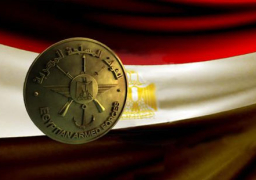 القوات الجوية تدمر عربتي دفع رباعي تقل عناصر إرهابية بمنطقة البويطي بالواحات البحرية