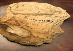 بلجيكا تعيد فأسا اثريا لمصر بعد دراستها