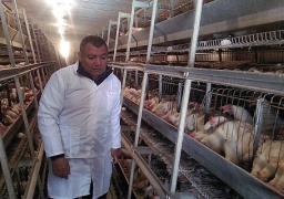 خطة عاجلة لإنقاذ المشروعات الإنتاجية المتعثرة ببني سويف