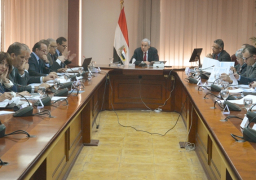 قابيل يعلن الانتهاء من اعداد استراتيجية متكاملة لتنمية الصادرات المصرية لافريقيا