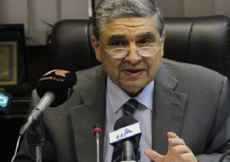 وزير الكهرباء يبحث التعاون في مجال الطاقة مع نائبة وزير الطاقة والبترول النرويجي