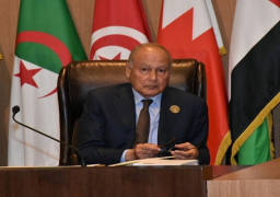 أبو الغيط: انعقاد القمة بهذا الحضور اليوم رسالةُ طمأنة للمواطن العربي