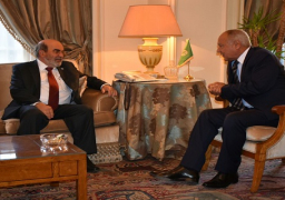 أبو الغيط يؤكد أهمية التعاون مع الأطراف الدولية لتحقيق الأمن الغذائي العربي