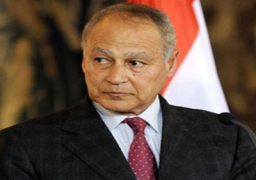 أبو الغيط يؤكد أهمية التمسك بحل الدولتين للقضية الفلسطينية