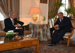 أبو الغيط يؤكد أهمية تنشيط العلاقات التجارية للدول العربية مع البرازيل