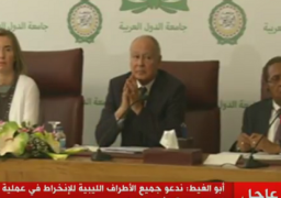 أبو الغيط : الجمالي يزور طبرق الأسبوع المقبل .. والرباعية المعنية بليبيا جددت الالتزام باتفاق الصخيرات