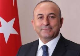 أوغلو يلتقي نظيره الألماني وسط أزمة إلغاء تجمعات الجالية التركية