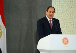 الرئيس السيسى يصدر عدداً من القرارات لدعم المرأة المصرية