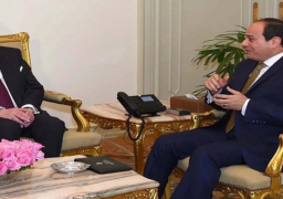 السيسي يؤكد انفتاح مصر على التواصل مع كافة أطياف المجتمع الأمريكي