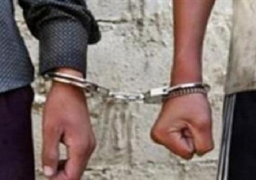 القبض على 10 عناصر إخوانية في حملة أمنية بأسوان