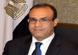ترحيب الماني باتفاق عمل المؤسسات السياسية الألمانية في مصر