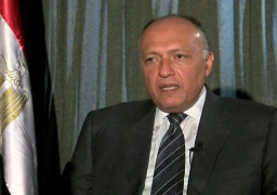 شكري يؤكد أن مصر الأقدر في المنطقة على مكافحة الفكر المتطرف
