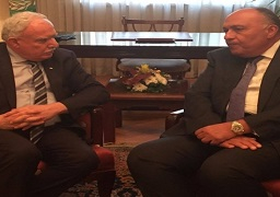 شكري يبحث مع رياض المالكي تطورات الأوضاع في الأراضي الفلسطينية