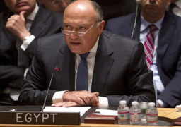 شكري يلقي كلمة مصر أمام مجلس الأمن حول الأوضاع في جنوب السودان