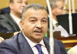 لجنة الشئون الصحية بمجلس النواب تتفقد المنظومة الصحية بالأقصر