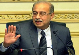 اسناد تنفيذ بحيرات صناعية بالأقصر وأسوان لـ”القابضة للري”