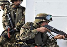 الجيش الجزائري يقضي على إرهابي شرق البلاد